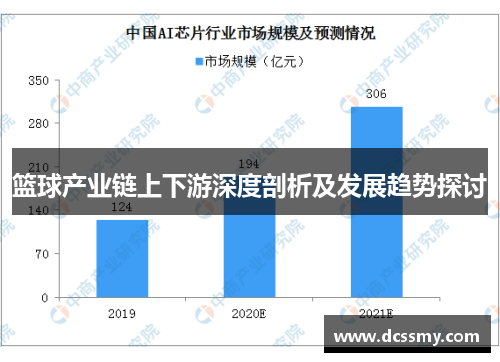 篮球产业链上下游深度剖析及发展趋势探讨